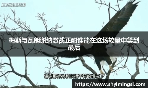 B体育官网