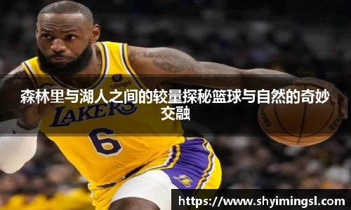 B体育官网