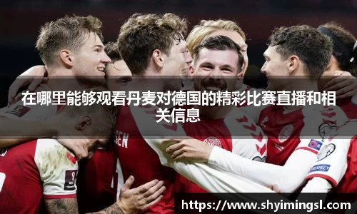 在哪里能够观看丹麦对德国的精彩比赛直播和相关信息