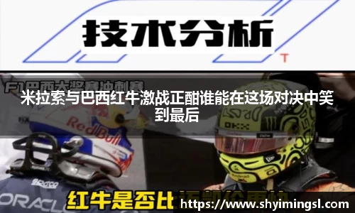 bsports官网入口