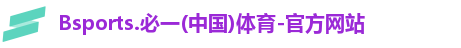 B体育官网